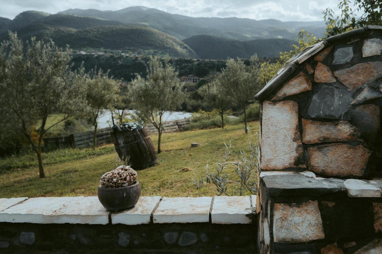 Guesthouse Lord Byron Tepelena Kültér fotó
